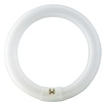Osram T9 Lumilux Circline 32W - 840 kold hvid | 30cm