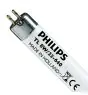 Philips T5 Short 8W - 640 kold hvid | 29cm